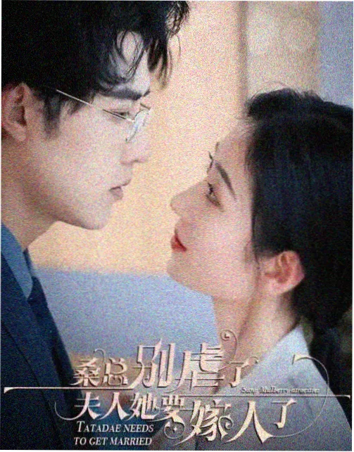 云开月明 电视剧 2026